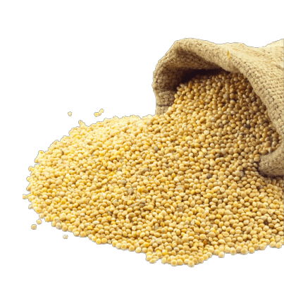 Millets And Ancient Grains