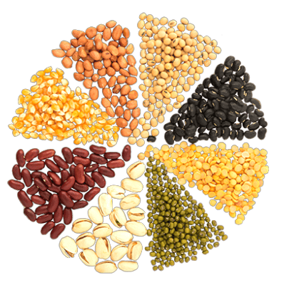 Pulses And Lentils